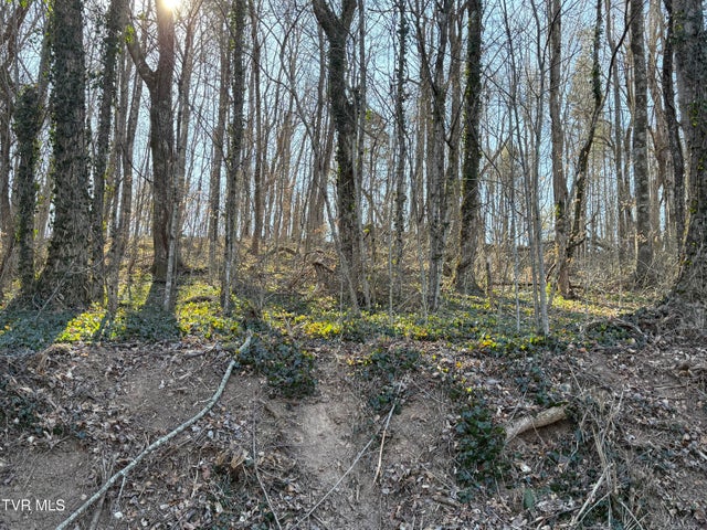 1st photo of Lots 1-4 Bishop Hollow Road