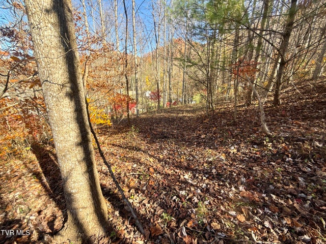 1st photo of 11/Ac State Highway 37 (Hwy 19e) 