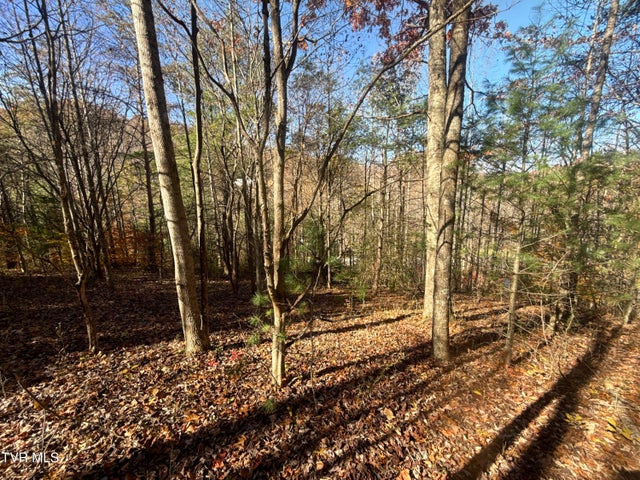 1st photo of 11/Ac Tbd Hwy 19E 
