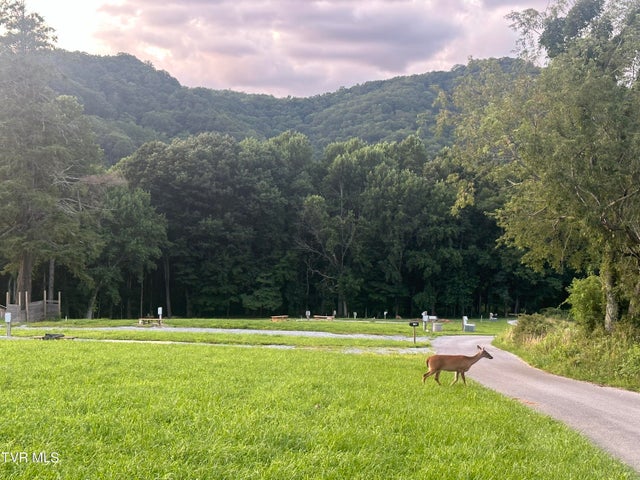 1st photo of 137 Dyer Road