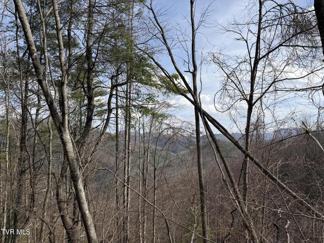 1st photo of Tbd Highway 421 