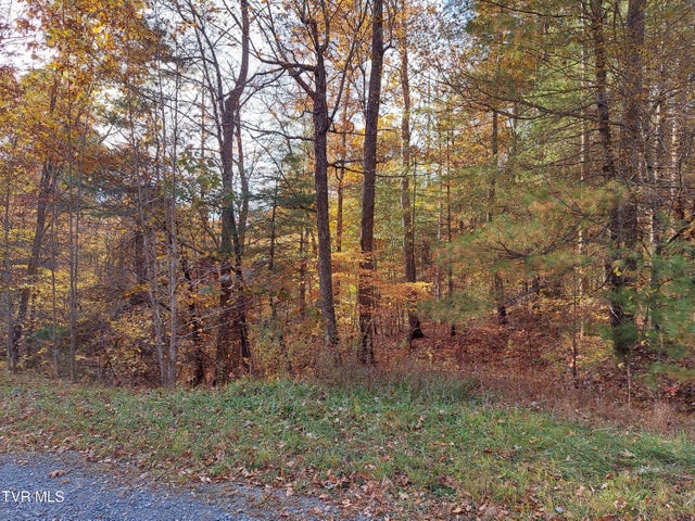 1st photo of Lot 19 Sugar Maple Way