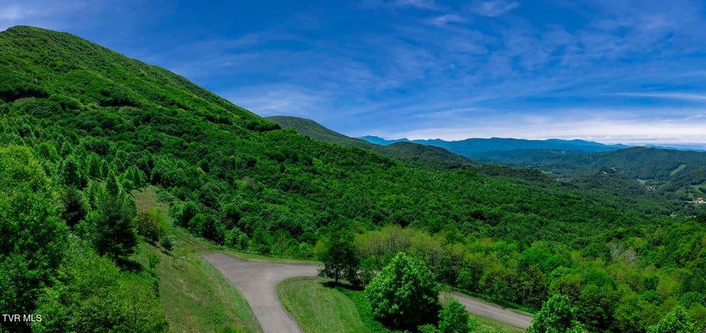 1st photo of C613 Buffalo Nvno 