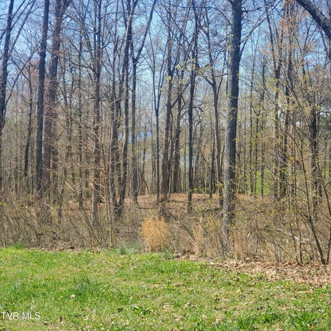 1st photo of Lot 136 Tumbleweed Trail