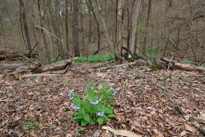 1st photo of Tbd Lakeside Drive