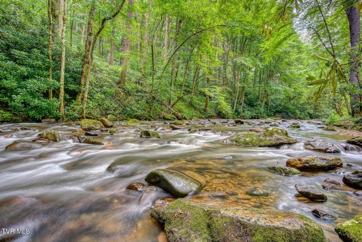 1st photo of 206 Toms Creek Drive