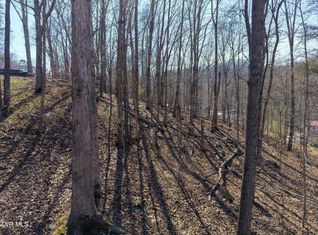 1st photo of Tbd Grove Park Drive