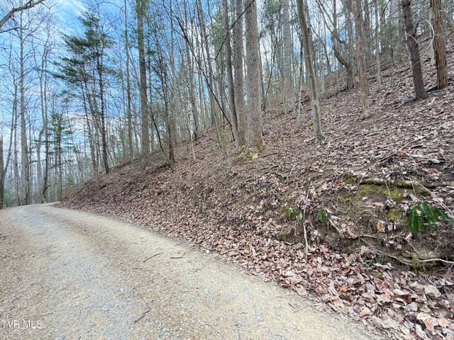 1st photo of 4.01 Reece Hollow Road