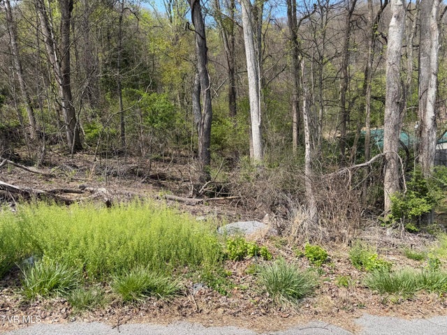 1st photo of 513 San Antonio Drive