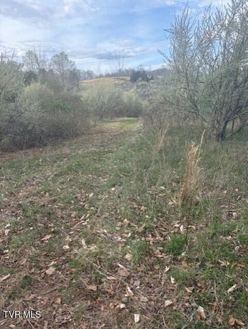 1st photo of Tbd Sulphur Springs Road