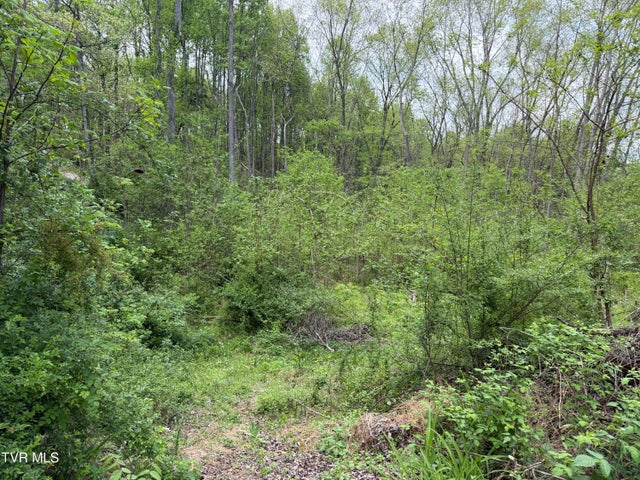 1st photo of 310 Mitchell Court