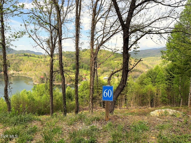 1st photo of Lot 60 Cowan Town Road