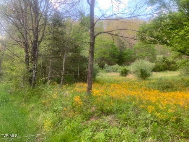 1st photo of Tbd Osborne Ridge Road