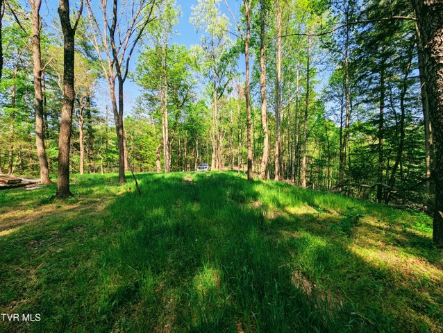 1st photo of Tbd Leaf Ridge