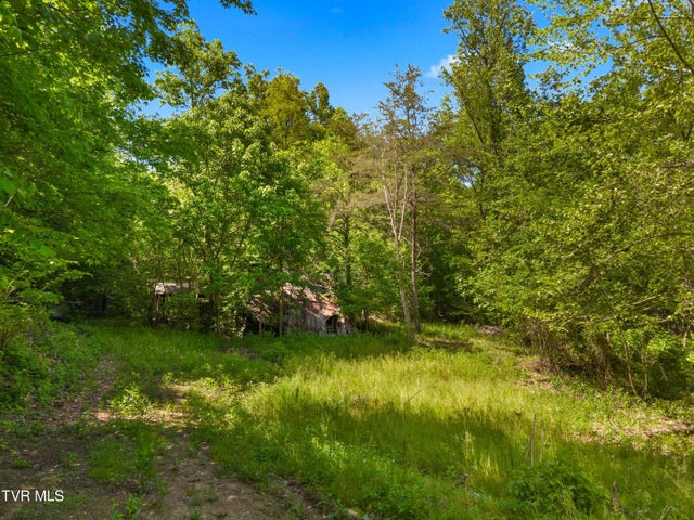 1st photo of 1243 Brandon Hollow Lane