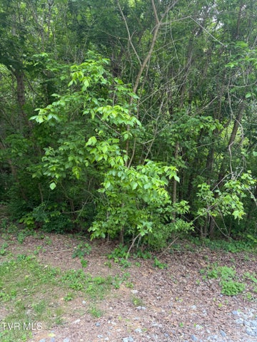 1st photo of Tbd Neth Drive