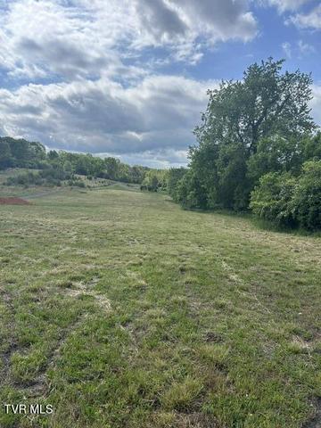 1st photo of Tbd Buncombe Road