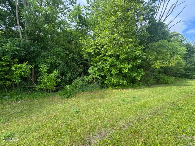 1st photo of Tbd Highway 11 Lot 24 