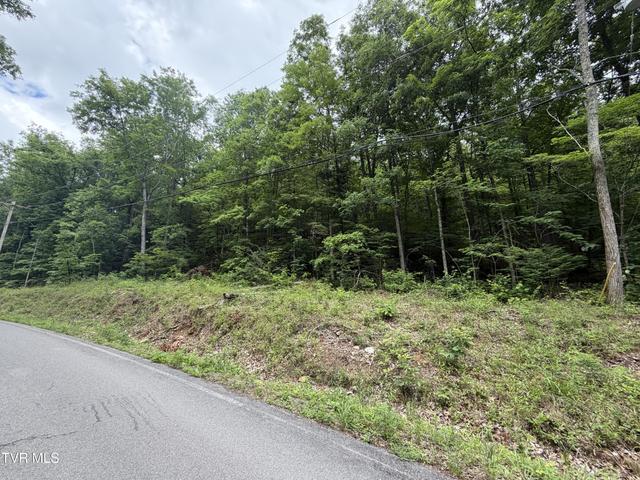 1st photo of Tbd Alpine Drive