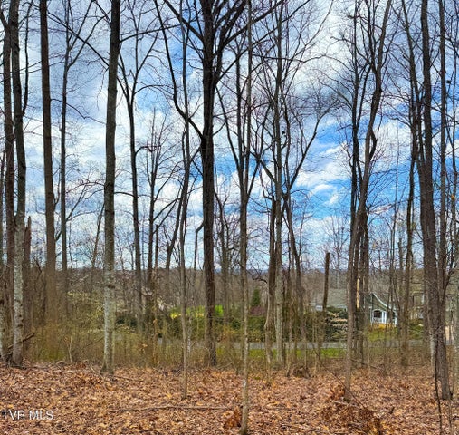 1st photo of Lot 22 Stonewall Ridge