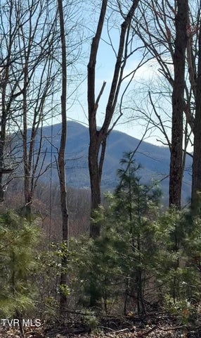 1st photo of Tbd Heaton Branch Road