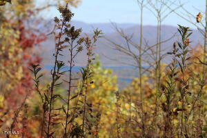 1st photo of 7 at 48 Locust Lane